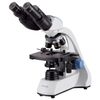 AmScope 40X-2500X LED Binocular Compound Microscope w 3D Two-Layer Mechanical St