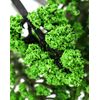 QWORK® 50 Pieces Model Trees Mixed Age 9+, Model Trees Miniature, Simulation Model Trees, Plastic, For Sand Table Model, Scene Decoration, 4 Sizes