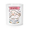 Beware Crazy Rabbit Lady Makeup Brush Pencil Pot