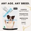 Pet Park Dog Toothpaste Gel