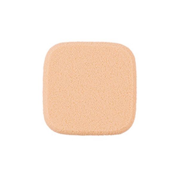 Arsoa Rivest Replacement Sponge