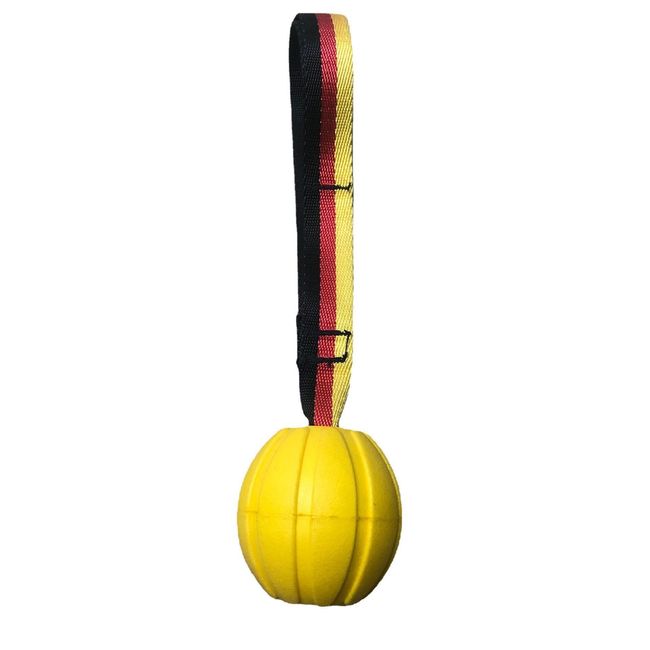 Pet Rope Training Ball