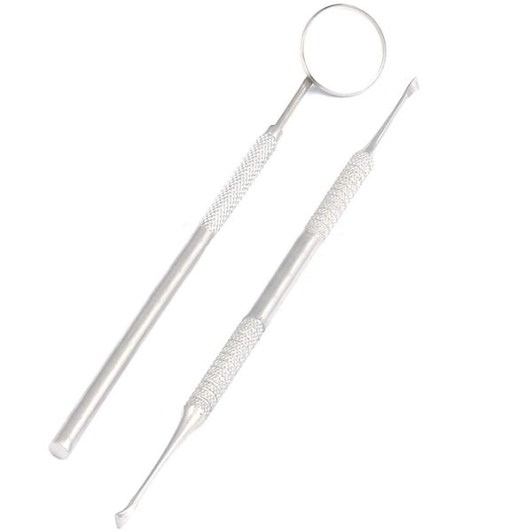 Precise Canada: - Dental Tartar Calculus Remover Tooth Scraper, Dental Student Examination Kit