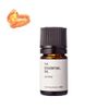 amber essential oil/5ml