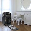 Professional Makeup Case,Rolling Makeup Train Case,Cosmetic Storage Organizer
