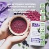 Rube Blackcurrant Powder 171g 100% Lyophilized Powder with Anthocyanin Vitamin Magnesium, 1 Pcs, Basic