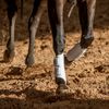 Classic Equine AirWave Classic Splint Boots, Front (White, Large)