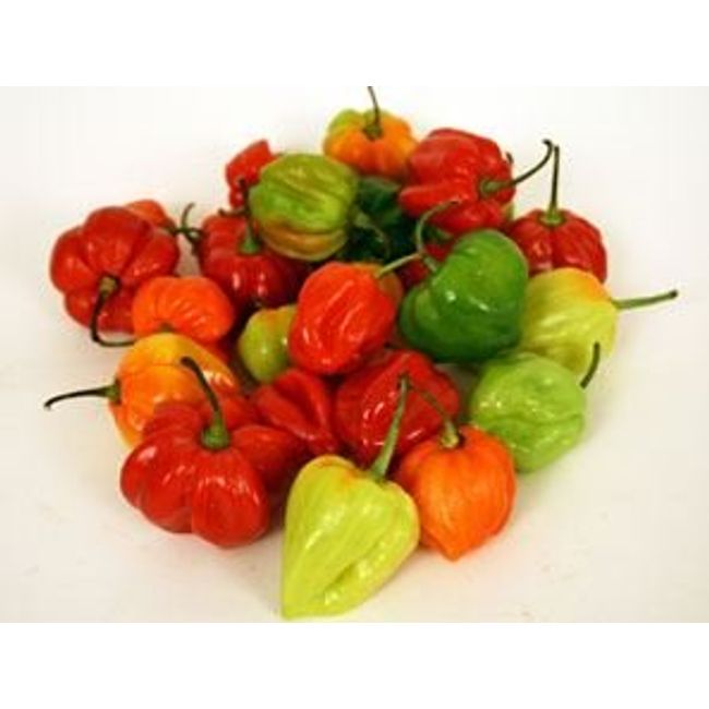 Scotch Bonnet Peppers 1kg