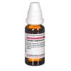 DHU Lycopus virginicus D1 Dilution, 20 ml Lösung