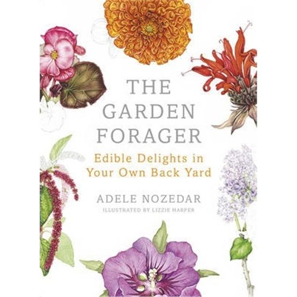 预订 The Garden Forager:Edible Delights in your Own Back Yard