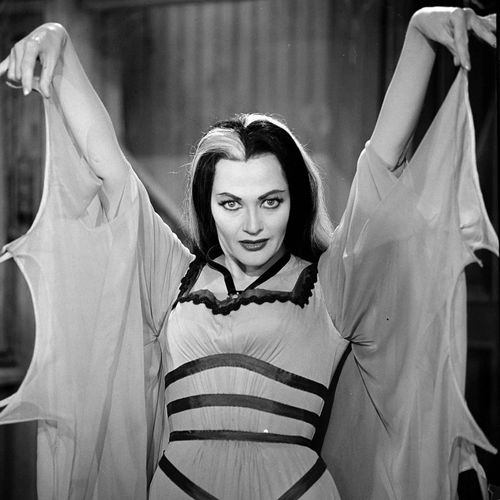 Mildiso Lily Munster Wig Long Wigs for Munster Costume Balck White Hair Wig with Wig Caps Cute Colored Wig for Party Halloween M086BW