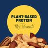 PLANTERS Salted Mixed Nuts, Party Snacks, Plant-Based Protein 10.3oz (12 Pack)