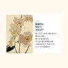 【su:m37°/スム37°公式】スンマ エリクサーエッセンス 60ml Summa Elixir Essence 60ml 韓国コスメ 韓国スキンケア エッセンス アンプル セラム 保湿 乾燥肌 敏感肌 低刺激 すっぴんケア スキンケア 自然光肌 水分ケア エッセンス しっとり感 長時間密着 水分感 肌キメ