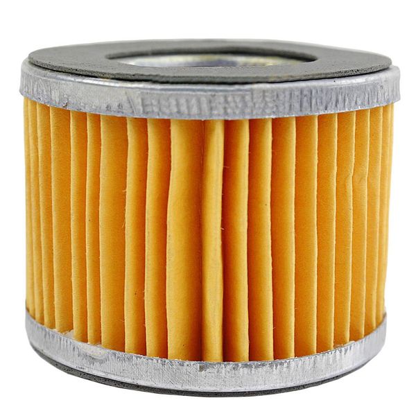 Compatible with Coleman Powermate Sanborn Filter Replacement Element 019-0221 L712141 14CFM