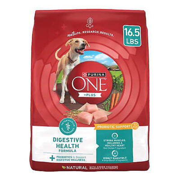 Plus Digestive Health Dry Dog Food for Adults, High Protein Chicken, 16.5 lb Bag