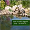 Pond Renu - Koi Pond Shock Treatment