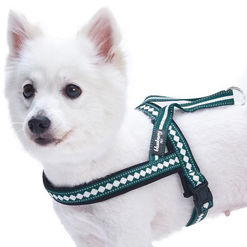 Blueberry Pet 6 Colors Soft & Comfy Jacquard Padded Dog Harness, Chest Girth 21.5" - 27.5", Teal Blue, S/M, Reflective Adjustable Harnesses for Dogs