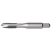 Tap, 4-40 Thread Size, HSS, Bright (2 Pieces)