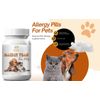 Allergy Support Chews for Pets - Natural Itch Relief Formula - 60 Count
