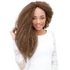 Femi Kinky Twist Braid Color #44 by Femi Collection