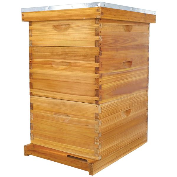 POLLIBEE 10 Frame Bee Hive, Beeswax Coated Beehive Include 2 Deep Bee Boxes and 1 Medium Bee Box with Beehive Frames and Foundation.