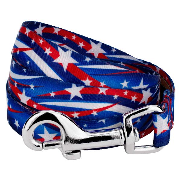 Country Brook Petz - 1/2 Inch Star Spangled Dog Leash - 6 Feet