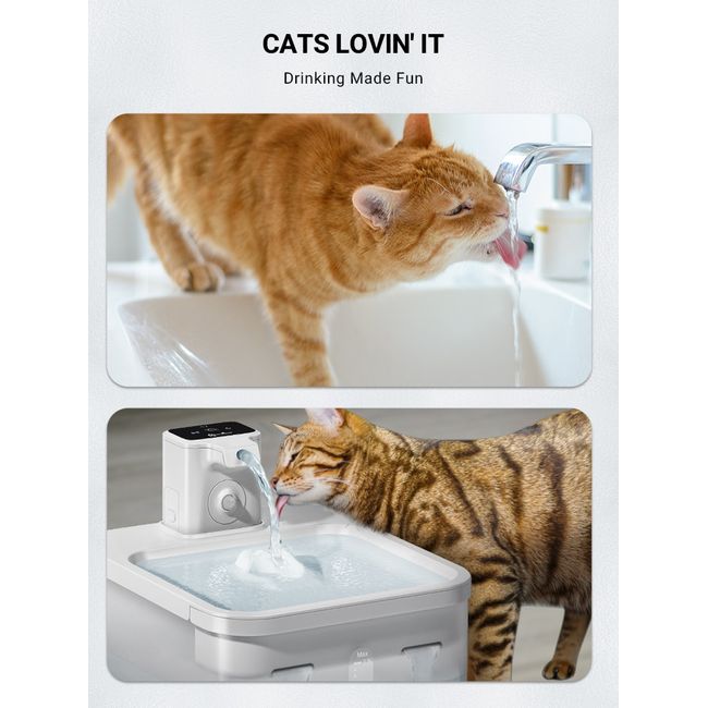 2.5L Pet Water Fountain Smart Pets Cat Water Feeder Dispenser Cat Drinking  Filter Cat Fountain - China Pet Water Fountain and Pet Products price