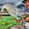 Monkey Lures King Lui - 7.5 cm, 10 cm, 12.5 cm, 14 cm - Big L Bait, Soft Bait, Zander Bait, Artificial Bait Fishing, Rubber Bait (Electric Monkey - Strong UV Active, 14 cm)