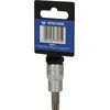BRILLIANT TOOLS BT021948 3/8 Inch Torx Bit Socket, T50 [Powered by KS Tools]