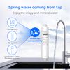 Waterdrop Remineralization Inline Water Filter, 1/4” Quick Connect Post Filter for RO Reverse Osmosis Filter System, Restore Essential Minerals (1)