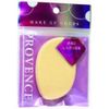 PROVENCE SPV46033 Multiuse Home Youth Puff 1P