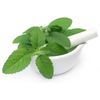 cholesterol guard herb - HOLY BASIL 745MG 1B - holy basil leaf