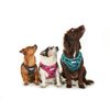 Doodlebone Airmesh Harness, Fuchsia, 3