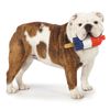 Cool Pup Rocket Pop Toy Pack