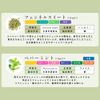Essential Oil Set (Intensive Aroma Set)