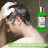 Tea Tree Oil Anti Dandruff Shampoo - [Made In UK] Therapeutic Grade | Antifungal for Dry Itchy Flaky Scalp and Hair | Prevents Head Lice Men Women | 250ml