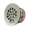 Everflow Stainless Steel Duplex Sink Strainer