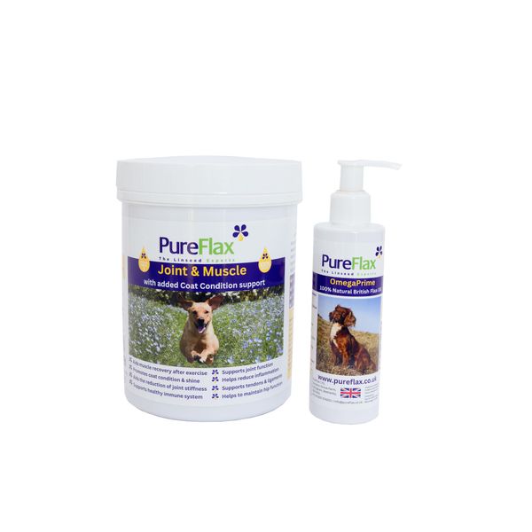 Joint & Muscle with added coat condition support