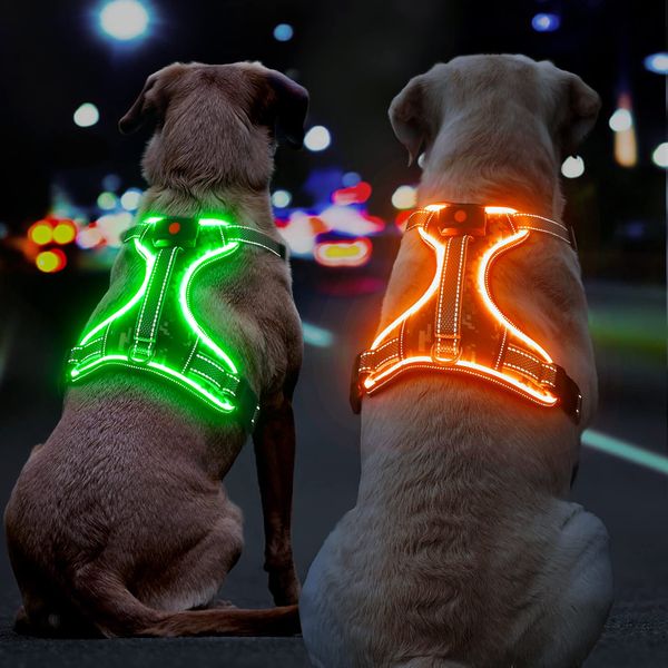 Leuchtendes Hundegeschirr Aufladbar, Reflektierendes Leuchtgeschirr LED Leucht Brustgeschirr Gepolstert, Anti Zieh Hunde Geschirr Leuchtend Verstellbar für Kleine, Mittelgroße, Grosse Hunde (Grün, M)