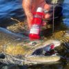 Atlas Mike's 6502 Lunker Lotion, Sardine