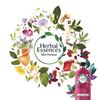 Herbal Essences Bío: Renew Clean