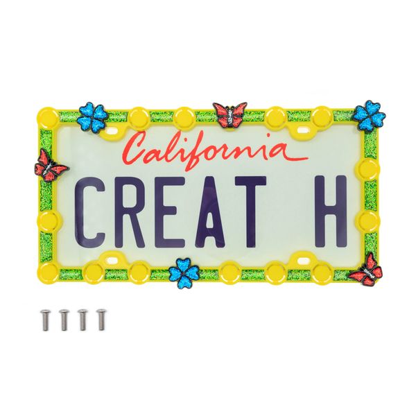 FD&D Custom License Plate Frame,Starter Kit with Blue Daisy and Red Ladybug