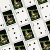 Lantern Press Tree Frog (52 Playing Cards, Poker Size Card Deck with Jokers)