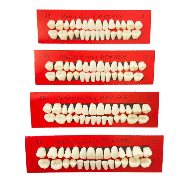 VIKSAUN 4 Pieces Acrylic Resin Fake Teeth Dental Denture False Teeth Halloween Horror Teeth Synthetic Resin Teeth for Halloween Makeup Cosplay Costume Party Ornament Supplies (4 pcs)