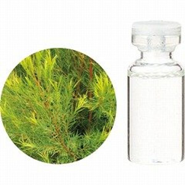 Tree of Life Tea Tree 3ml