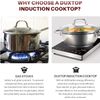 Portable Induction Cooktop, High End Full Glass Induction Burner with Sensor ...