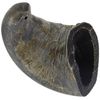 QT Dog - Buffalo Horn Small