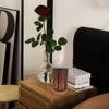 Aromatherapy Diffuser for Essential Oil Super Quiet Cool Mist Humidifier w/ Oil