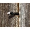 Kerbl Hobbyfarming Automatic Chicken Door Light Sensor