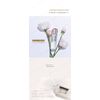 LILIBETH Lilibes Rose Deep Hydration Toner, 5.1 fl oz (150 ml), Korean Cosmetics